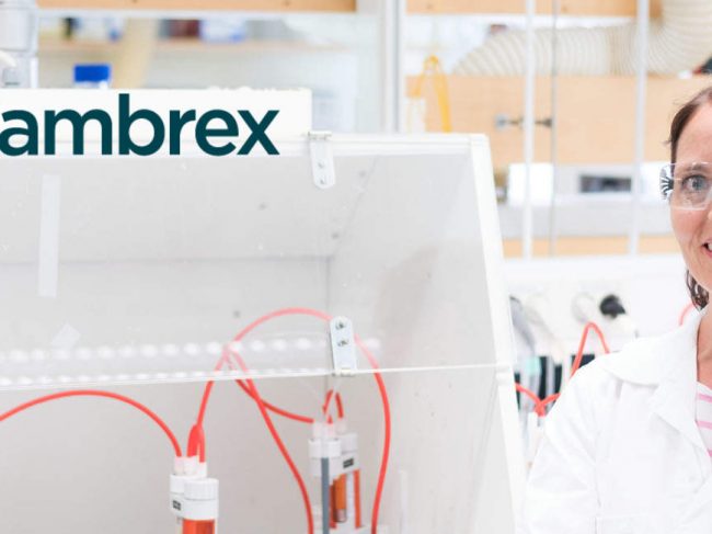 Cambrex Introduces New Kilogram-Scale GMP Manufacturing Capabilities at Tallinn, Estonia Facility