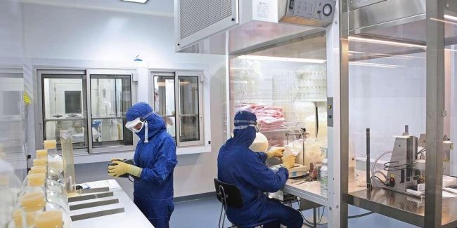 French manufacturers of veterinary medicines and their inspection