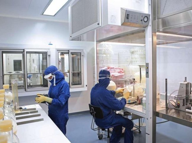 French manufacturers of veterinary medicines and their inspection