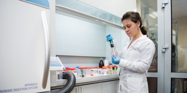 NUST MISIS: Bioactive Implant Coatings Resistant to Most Bacterial Strains Are Obtained in Russia