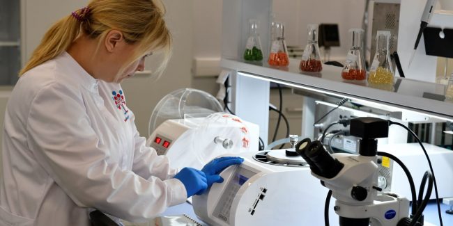 NovaMedica signed an agreement with Bayer on transfer of exclusive rights to its product