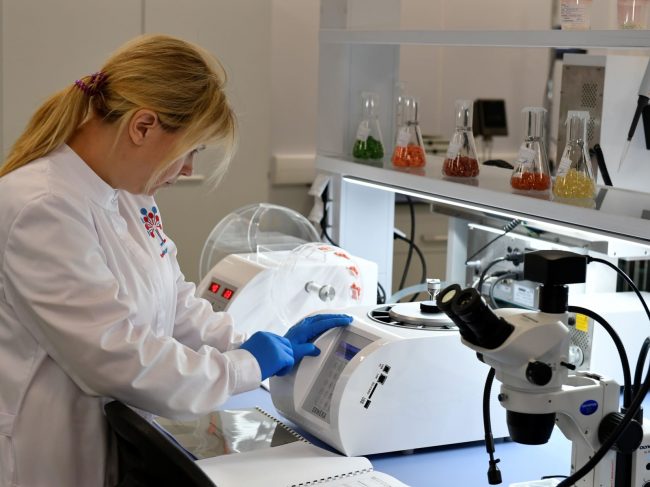 НоваМедика заключила соглашение с Bayer о передаче эксклюзивных прав на свою разработку