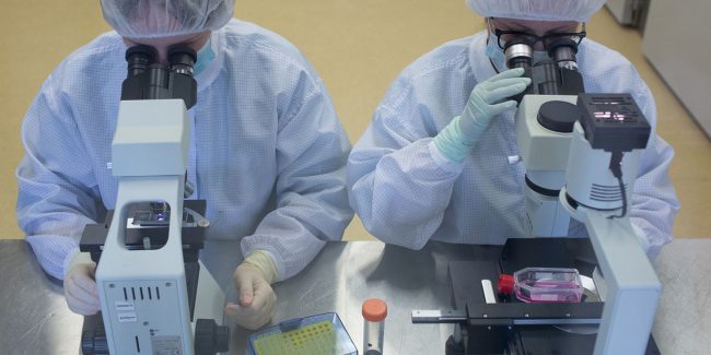 Combination of the Sputnik Light with others vaccines demonstrates high safety profile