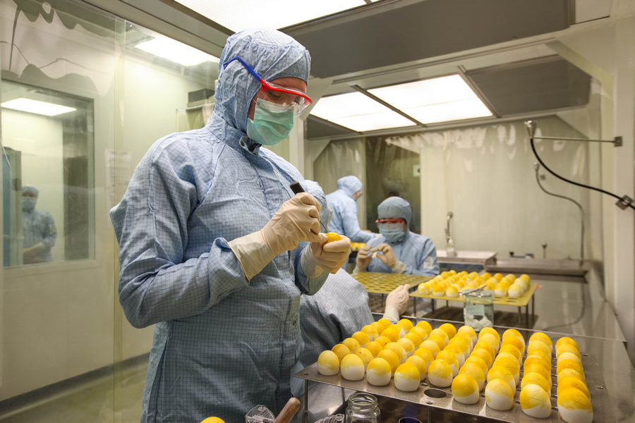 В России будут выпускать яйца по стандарту Clean Egg для производства вакцин