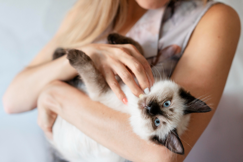 вакцина SuperCat против аллергии на кошек