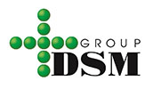 dsm-group-logo