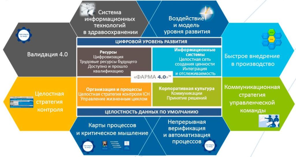 Кадры для цифровой трансформации проект белгород