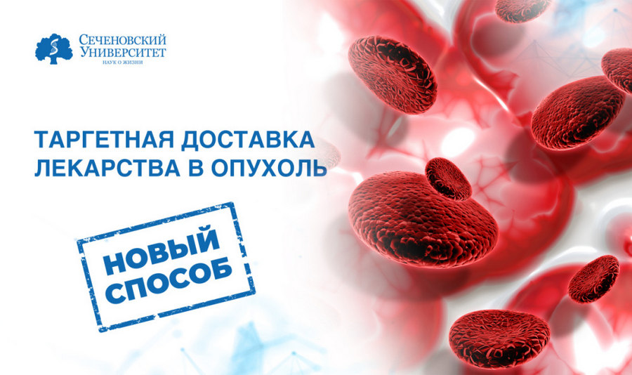 В Сеченовском Университете разработали новый подход к таргетной доставке противораковых средств