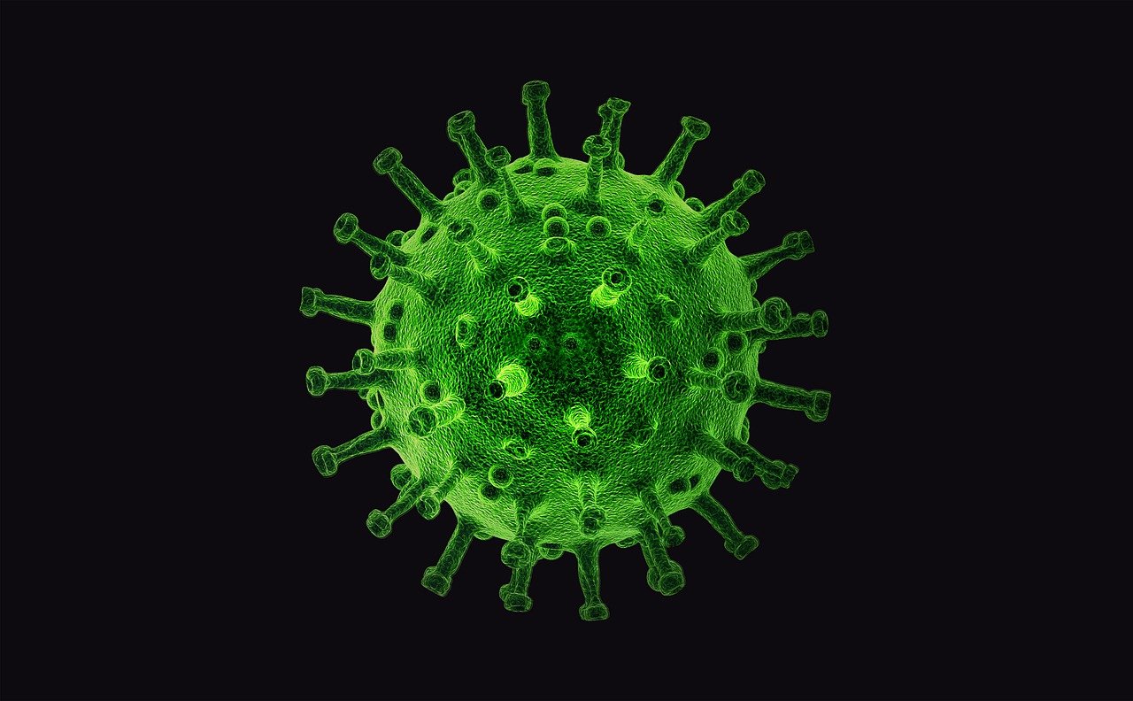 Вирус гриппа