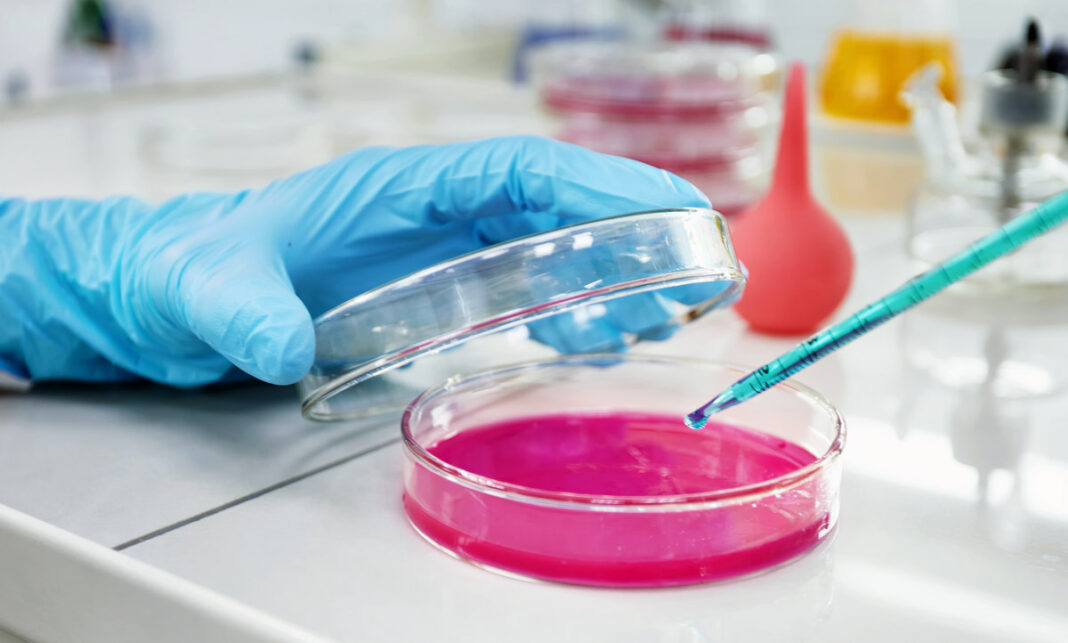 ФИЦ ФТМ рассчитывает получить аккредитацию для лаборатории по работе с опасными вирусами